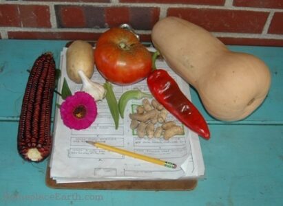 Plan Your Diet and Garden Together Image
